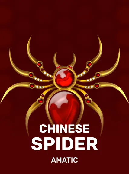 Chinese Spider